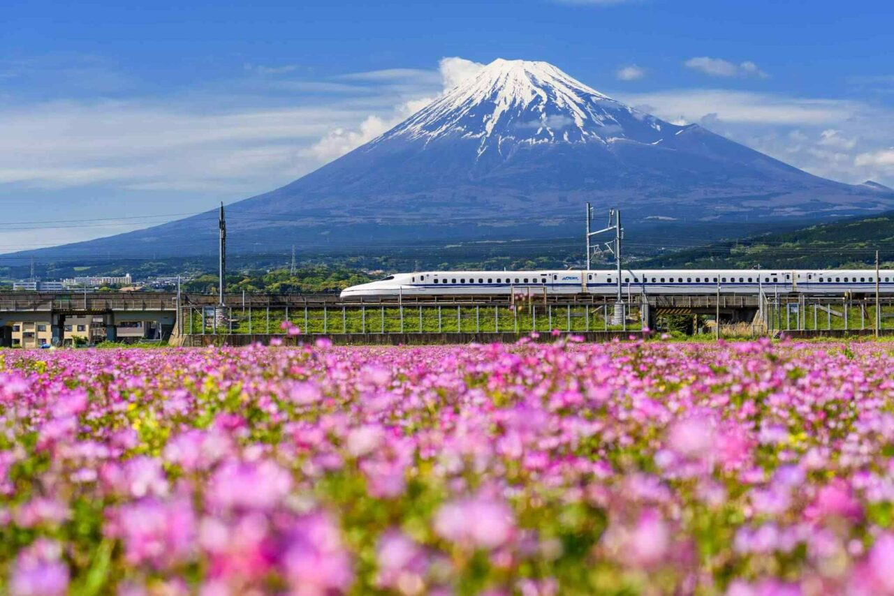 https://gocrete.co.il/wp-content/uploads/2018/09/tour-osaka-04-1280x854.jpg